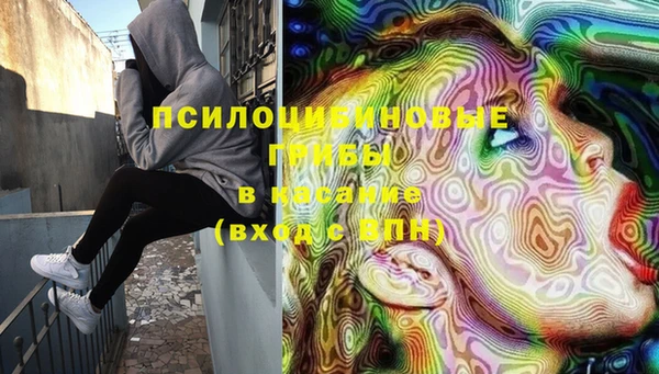молекула духа Тавда