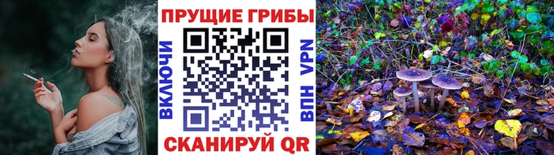 Галлюциногенные грибы ЛСД  купить   Кулебаки 